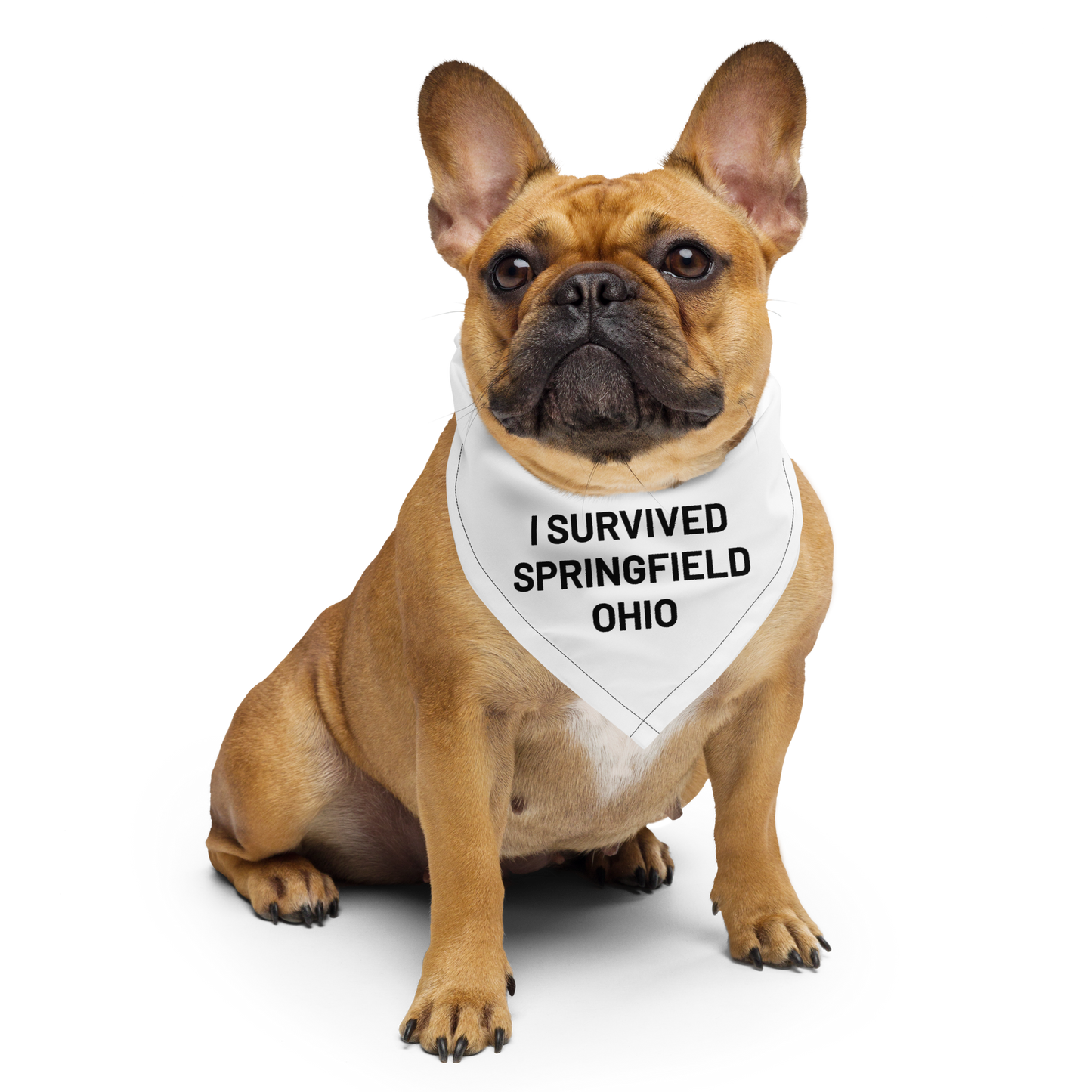 I Survived Springfield Ohio pet bandana